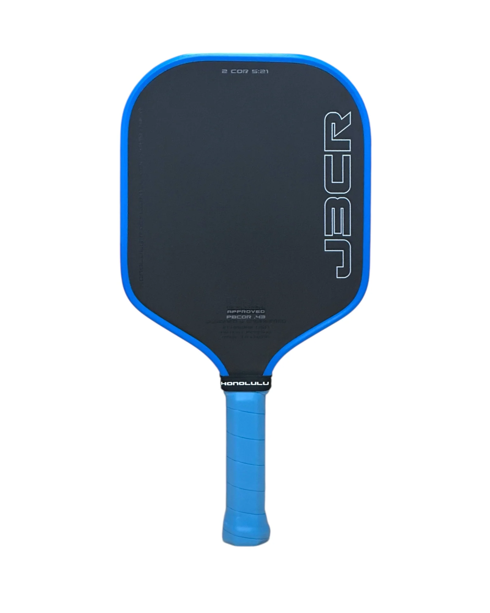 SWORD & SHIELD CONTROL PADDLES
